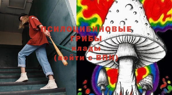 гашик Белоозёрский