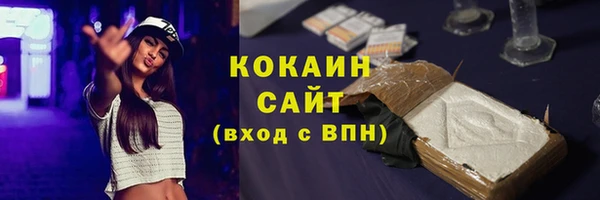 гашик Белоозёрский