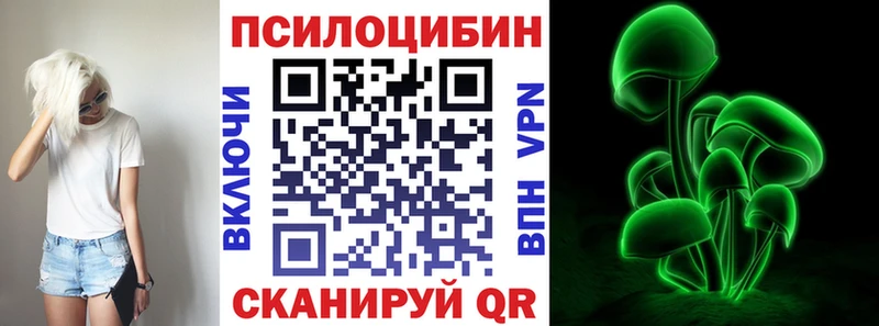 дарк нет формула  где купить наркоту  Берёзовский  Псилоцибиновые грибы Psilocybe 